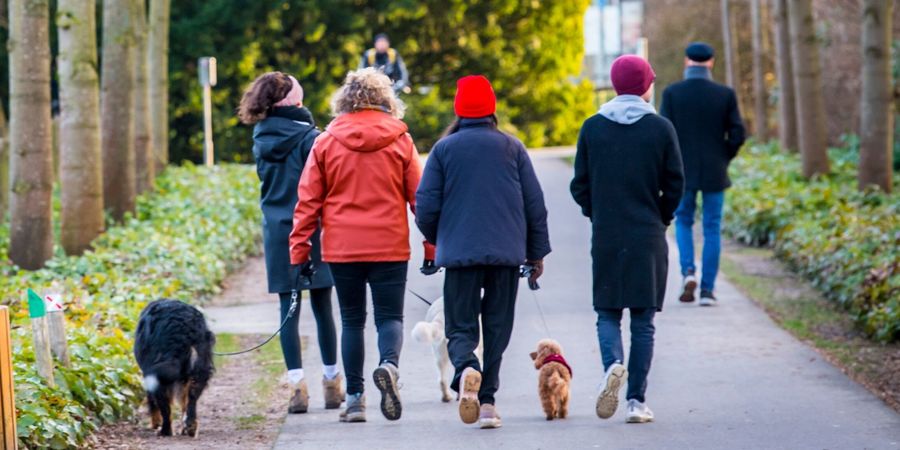 Foto van enkele mensen en honden die wandelen. Foto van enkele mensen en honden die wandelen.